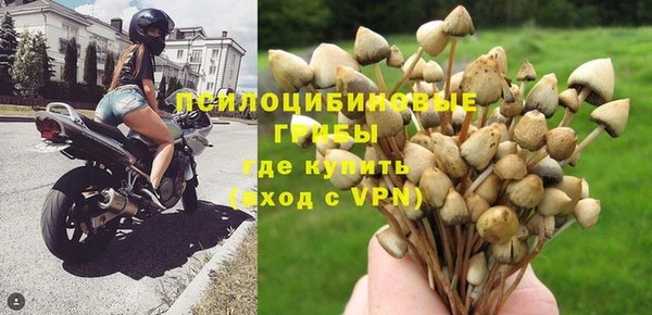 гашиш Арсеньев